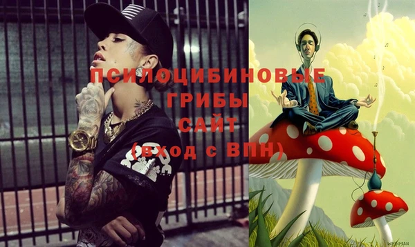 винт Новокубанск